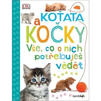 

Koťata a kočky: Vše, co o nich potřebuješ vědět