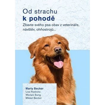 

Od strachu k pohodě: Zbavte svého psa obav z veterináře, návštěv, ohňostrojů…