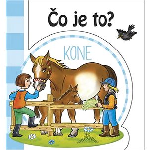 

Čo je to Kone