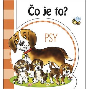 

Čo je to Psy