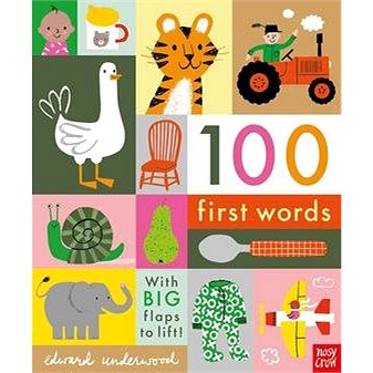 

100 First Words