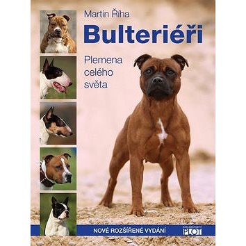 

Bulteriéři: Plemeno celého světa