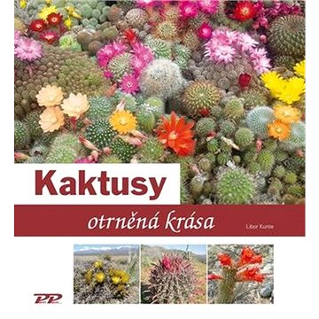 

Kaktusy: otrněná krása