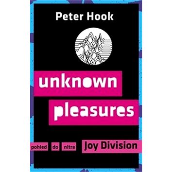 

Unknown Pleasures: Pohled do nitra Joy Division