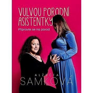Vulvou porodní asistentky: Připravte se na porod - Kniha