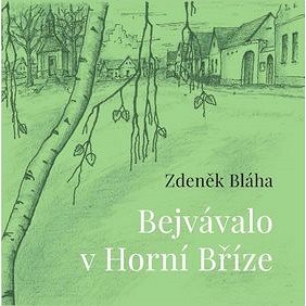 

Bejvávalo v Horní Bříze