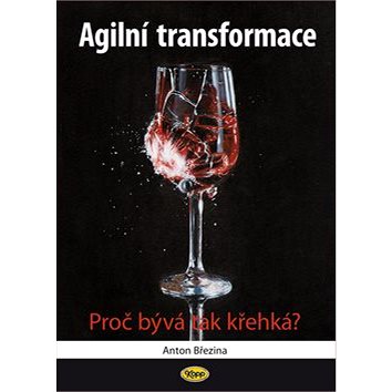 

Agilní transformace: Proč bývá tak křehká