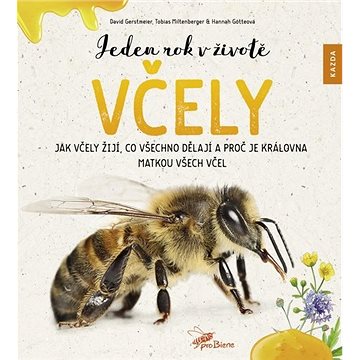 

Jeden rok v životě včely: Jak včely žijí, co všechno dělají a proč je královna matkou všech včel