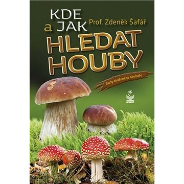 

Kde a jak hledat houby: Rady zkušeného houbaře