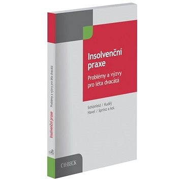 

Insolvenční praxe: Problémy a výzvy pro léta dvacátá