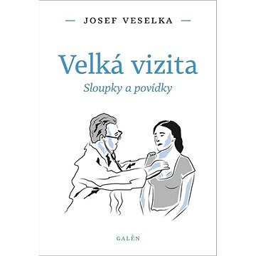 

Velká vizita: Sloupky a povídky