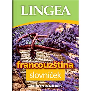 

Francouzština slovníček: ..nejen pro začátečníky