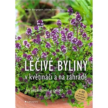 

Léčivé byliny v květináči a na zahradě
