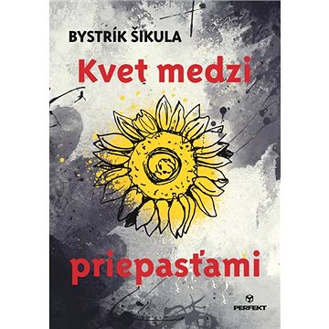 

Kvet medzi priepasťami