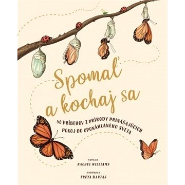 

Spomaľ a pozoruj