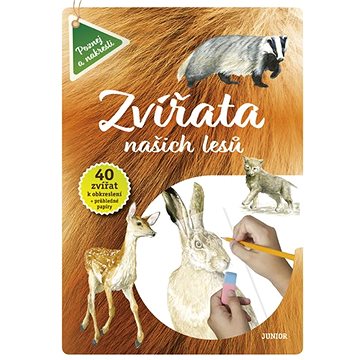 

Zvířata našich lesů