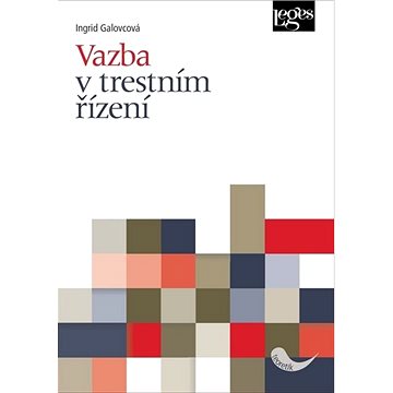 

Vazba v trestním řízení