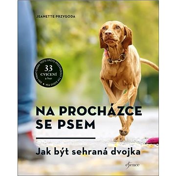 

Na procházce se psem: Jak být sehraná dvojka