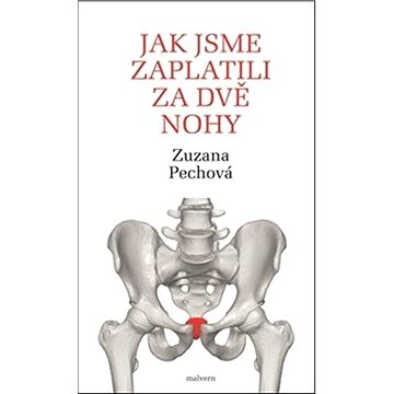 

Jak jsme zaplatili za dvě nohy