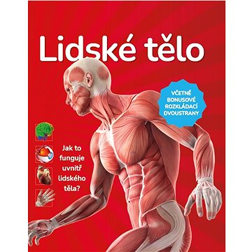 

Lidské tělo