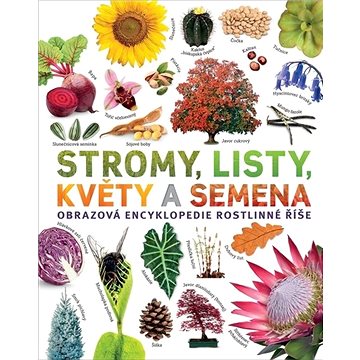 

Stromy, listy, květy a semena