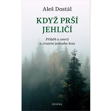 

Když prší jehličí