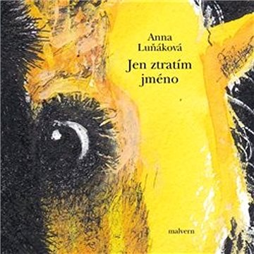 

Jen ztratím jméno
