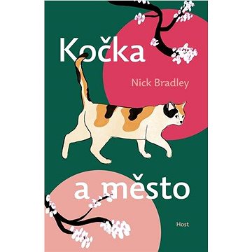 

Kočka a město