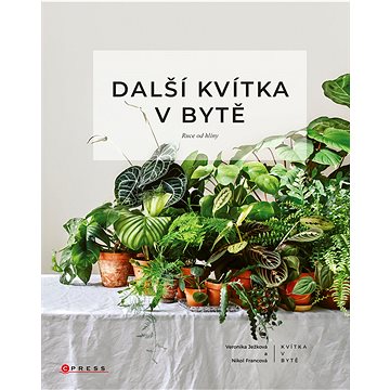 

Další kvítka v bytě: Ruce od hlíny