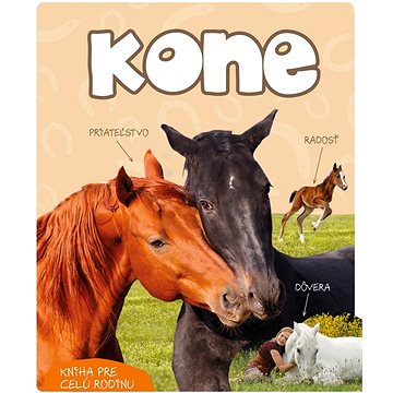 

Kone