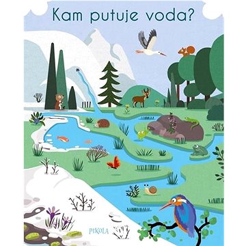 

Kam putuje voda