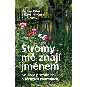 

Stromy mě znají jménem