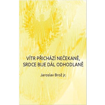 

Vítr přichází nečekaně, srdce bije dál odhodlaně
