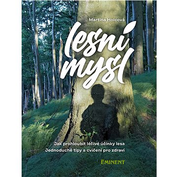 

Lesní mysl: Jak prohloubit léčivé účinky lesa