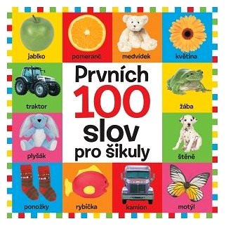 

Prvních 100 slov pro šikuly