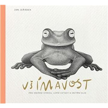 

Všímavost pro snížení stresu, lepší vztahy a vnitřní klid