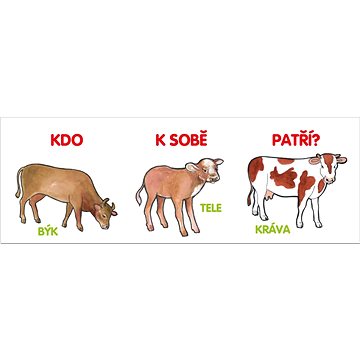 

Kdo k sobě patří