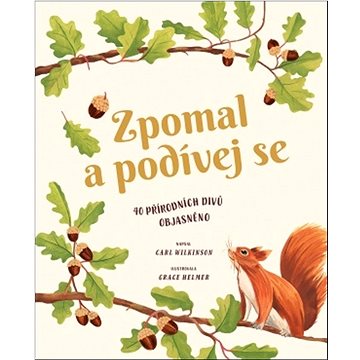 

Zpomal a podívej se: 40 přírodních divů objasněno