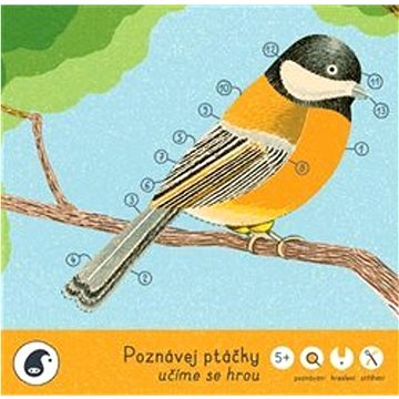 

Poznávej ptáčky: učíme se hrou