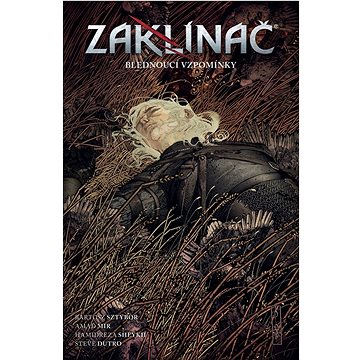 

Zaklínač Blednoucí vzpomínky