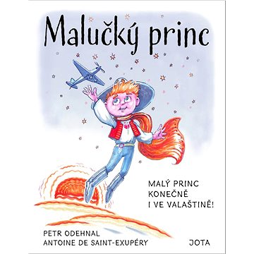 

Malučký princ: Malý princ konečně i ve valaštině!