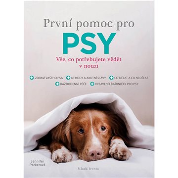 

První pomoc pro psy: Vše, co potřebujete vědět v nouzi