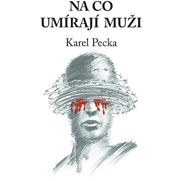 

Na co umírají muži
