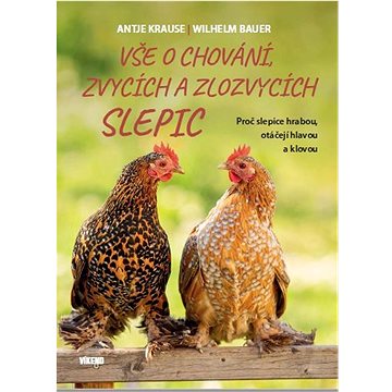 

Vše o chování, zvycích a zlozvycích slepic: Proč slepice hrabou, otáčejí hlavou a klovou