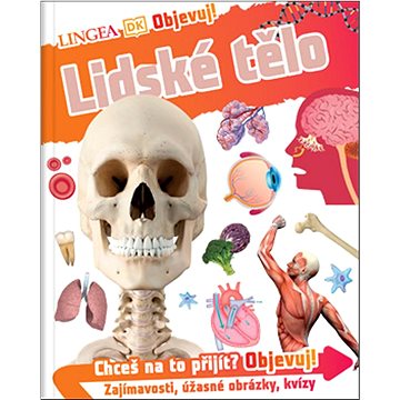 

Lidské tělo