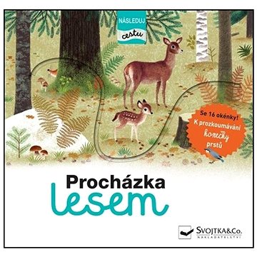 

Procházka lesem - následuj cestu