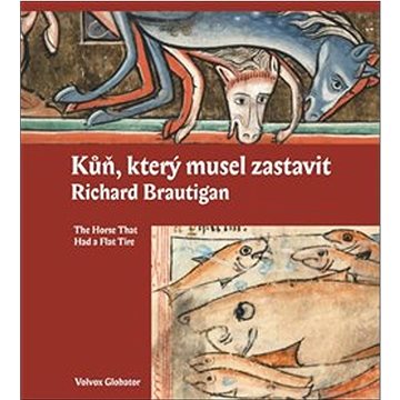 

Kůň, který musel zastavit