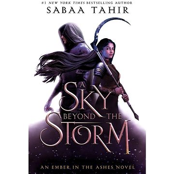 

A Sky Beyond the Storm