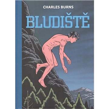 

Bludiště
