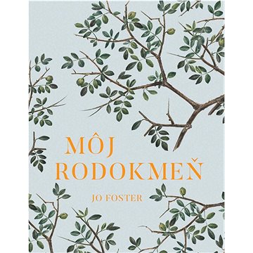 

Môj rodokmeň